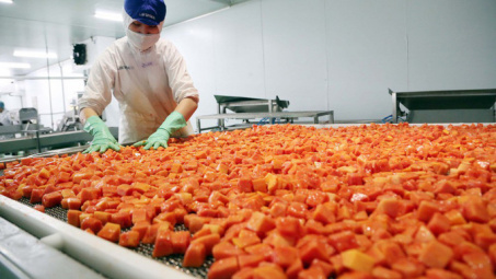 Đồng Giao chính thức đưa Doveco Gia Lai đi vào hoạt động