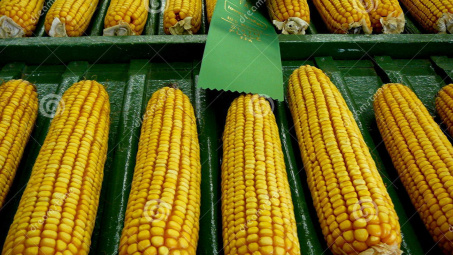 Thị trường nông sản thế giới biến động mạnh