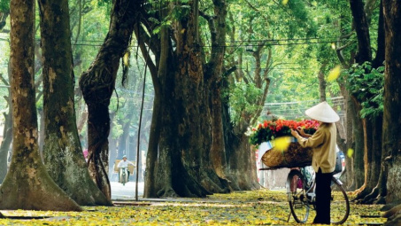 Thời tiết 23/9: Bắc bộ nắng hanh khô, se lạnh vào sáng sớm