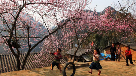 Thời tiết 15/1: Miền Bắc hửng nắng, trời đẹp ngày giáp Tết