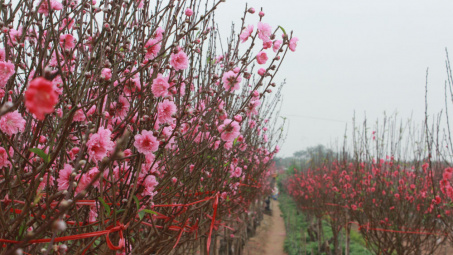 Thời tiết ngày 29 Tết thuận lợi cho người dân mua sắm, chuẩn bị Tết