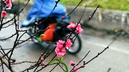 Thời tiết Tết Nguyên đán: Đêm 30 trời trở lạnh