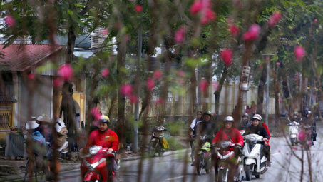 Thời tiết Tết Canh Tý 2020: Từ mùng 1 đến mùng 5 Tết