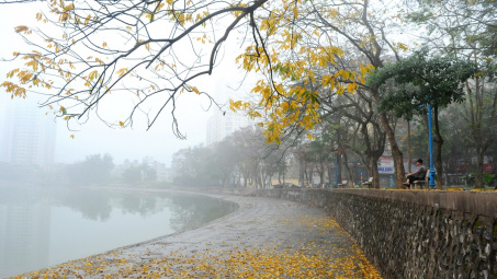 Thời tiết 26/1: Mùng 2 Tết, Bắc bộ mưa rào và rét đậm