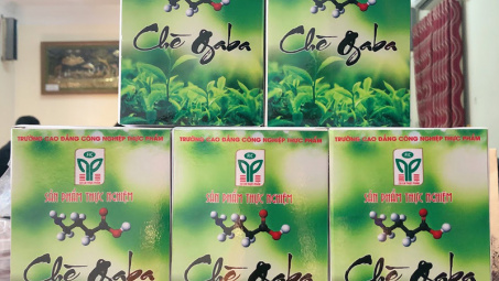 Ứng dụng công nghệ sinh học sản xuất chè lên men,  tạo ra sản phẩm mới phục vụ thị trường nội địa và đẩy mạnh xuất khẩu