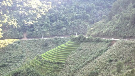 Đa dạng thành phần loài thực vật thuộc ngành Ngọc lan (Magnoliophyta) tại Vườn quốc gia Phia Oắc - Phia Đén, tỉnh Cao Bằng