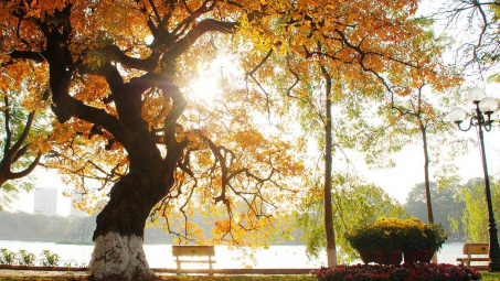 Thời tiết 9/1: Bắc bộ trời đẹp, nắng ấm