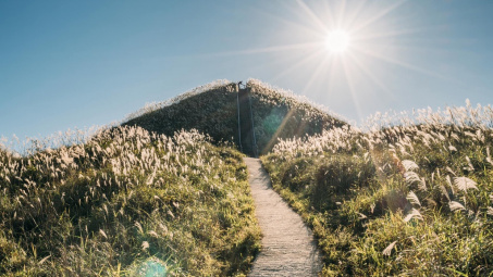 Về Quảng Ninh ngắm “thiên đường” cỏ lau trắng Bình Liêu