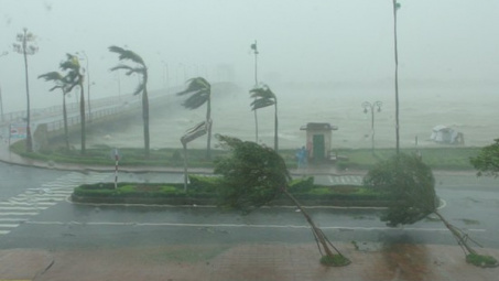 Thời tiết 24-10: Bão số 8 đổ bộ, miền Trung mưa lớn quay trở lại