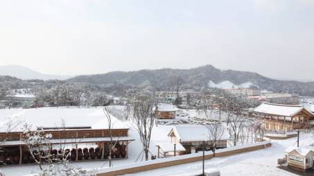 Khám phá bảo tàng rượu truyền thống lớn nhất Hàn Quốc