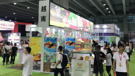 Đầu tư vào các hoạt động chuyên sâu trong xúc tiến thương mại