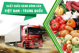 Xuất khẩu dựa trên đầu tư nước ngoài: Kinh nghiệm của Trung Quốc đối với Việt Nam