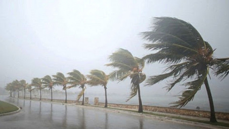 Thời tiết 1-11: Miền Trung mưa giảm, chuẩn bị ứng phó bão Goni