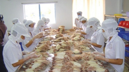 Xuất khẩu mực, bạch tuộc sang Trung Quốc tăng 53%