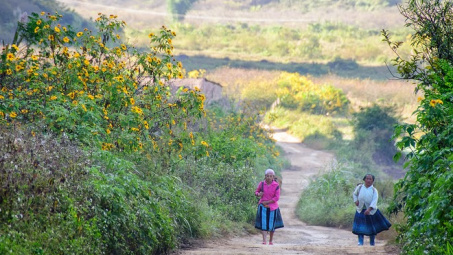 Mộc Châu không chỉ có hoa cải trắng