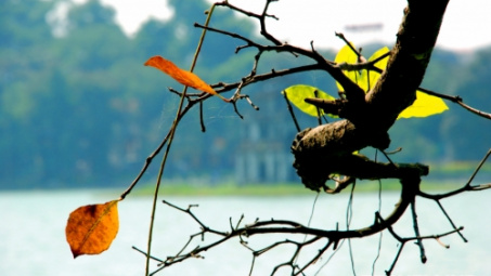 Thời tiết 7-10: Bắc bộ nắng nhẹ, Trung bộ mưa lớn