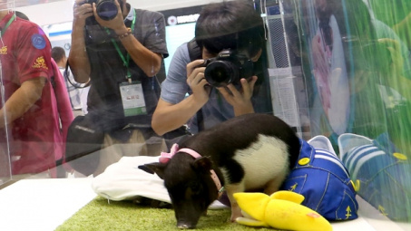 Cơ sở khảo nghiệm sinh vật biến đổi gen không phải chứng minh năng lực