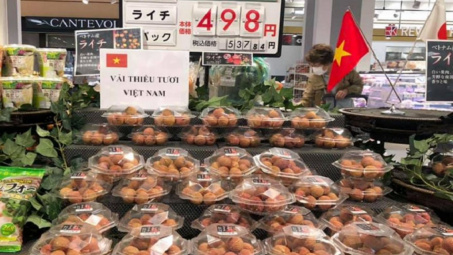 Trái cây vượt hàng rào kỹ thuật xuất ngoại