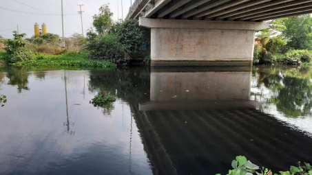 Assessment of the quality of surface water of An Ha Canal, Duc Hoa District, Long An Province