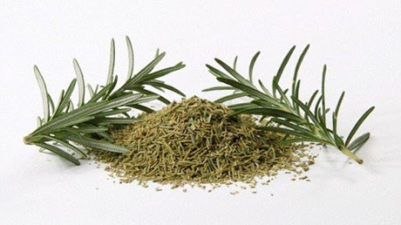 Quy trình chưng cất và đánh giá khả năng kháng khuẩn của tinh dầu từ lá hương thảo (Rosmarinus Officinalis L.)