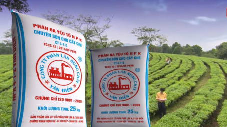 Sử dụng phân bón Văn Điển - Hướng đi mới trong canh tác nông nghiệp bền vững