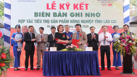 Lần đầu ra mắt, quýt Mường Khương đã chinh phục được người dân Thủ đô