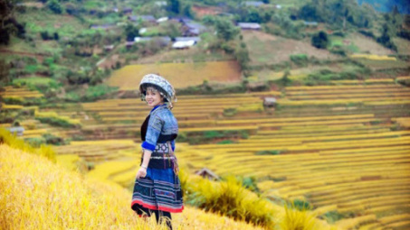 Phải dùng nhiều nguồn lực, thời gian để khắc phục những khiếm khuyết do phát triển nóng