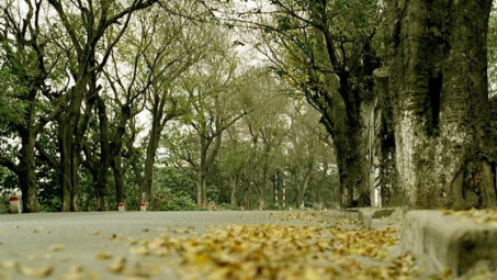 Thời tiết 23-11: Đón đợt gió mùa Đông Bắc mới, Hà Nội chuyển lạnh, có lúc có mưa nhỏ