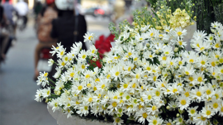 Thời tiết 29-11: Hà Nội nắng đẹp tiết đầu Đông