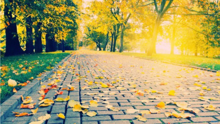 Thời tiết 1-12: Bắc bộ sáng sớm trời lạnh, trưa chiều hửng nắng ấm