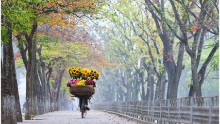 Thời tiết 5-11: Miền Bắc nắng nhẹ, miền Trung Nam bộ vẫn có mưa to, bão số 10 suy yếu thành áp thấp nhiệt đới