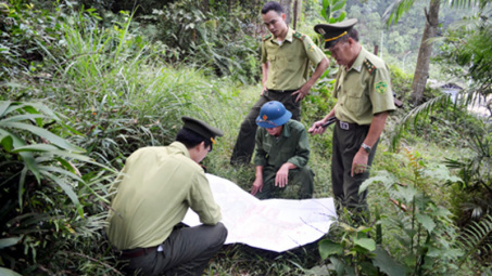 Nhiều Đại biểu tranh luận về hệ số che phủ rừng