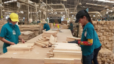 Mỗi tháng ngành gỗ thu về trên 1 tỷ USD xuất khẩu