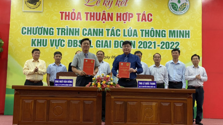 Bình Điền ký kết với Khuyến nông Quốc gia về canh tác lúa thông minh