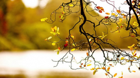 Thời tiết 2-12: Bắc bộ trời rét, nền nhiệt giảm nhẹ