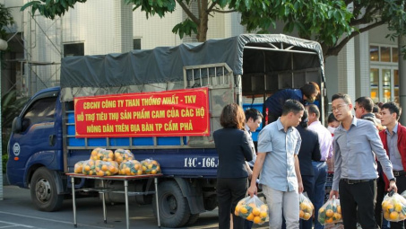 Công ty Than Thống Nhất chung tay hỗ trợ tiêu thụ nông sản