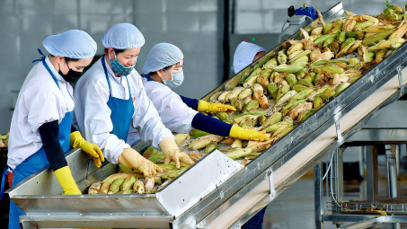 Sau EVFTA, nông - thủy sản Việt đứng trước cơ hội thị trường mới mang tên UKVFTA