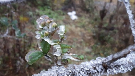 Thời tiết 20-12:  Không khí lạnh tăng cường, miền Bắc tiếp tục rét đậm