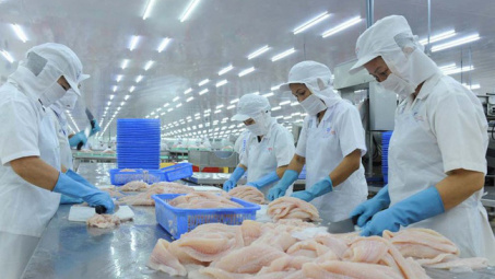 VASEP khuyến cáo doanh nghiệp cá tra không hạ thấp giá xuất khẩu