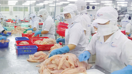 Xuất khẩu thủy sản có thể cán đích 8,6 tỉ USD trong năm 2020