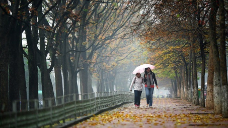 Thời tiết 21-12: MIền Bắc tiếp tục rét đậm, nền nhiệt thấp nhất dưới 10 độ C