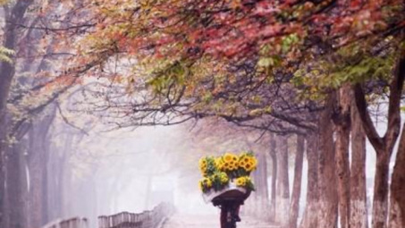 Thời tiết 22-12: Miền Bắc trời tiếp tục rét đậm, trưa hửng nắng ấm