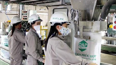 Hiệu ứng tích cực của biện pháp tự vệ đối với sản phẩm phân bón DAP trong việc bảo vệ ngành sản xuất trong nước