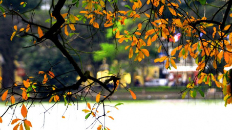 Thời tiết 26-12: Hà Nộl tiết trời ấm áp ngày cuối tuần