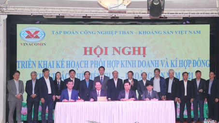 TKV: Phấn đấu đạt lợi nhuận 3.000 tỷ đồng năm 2021