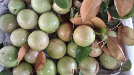 Đồng bằng sông Cửu Long: Trái cây tăng giá dịp cuối năm