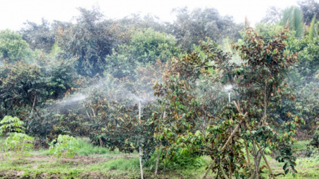 Ngành Khoa học và Công nghệ Sóc Trăng Phát triển kinh tế, kiến tạo tương lai