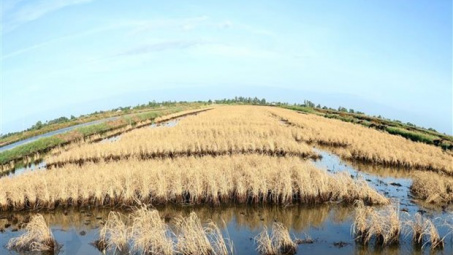 Sóc Trăng Hiệu quả cao từ chống biến đổi khí hậu và rác thải nhựa