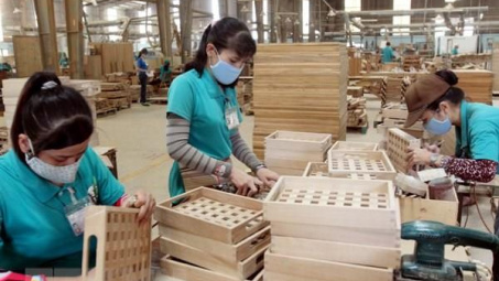 Xây dựng hợp tác xã theo chuỗi giá trị trên 4 lĩnh vực