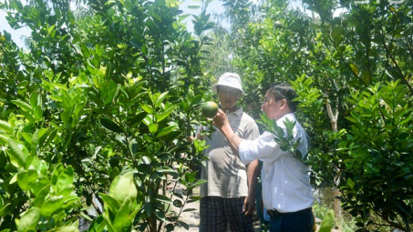 Sóc Trăng: Vùng đất tiềm năng phát triển nền nông nghiệp đa dạng, quy mô lớn